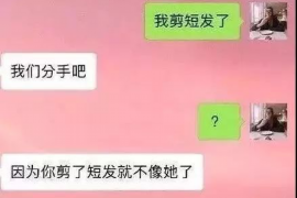 张掖债务清欠服务